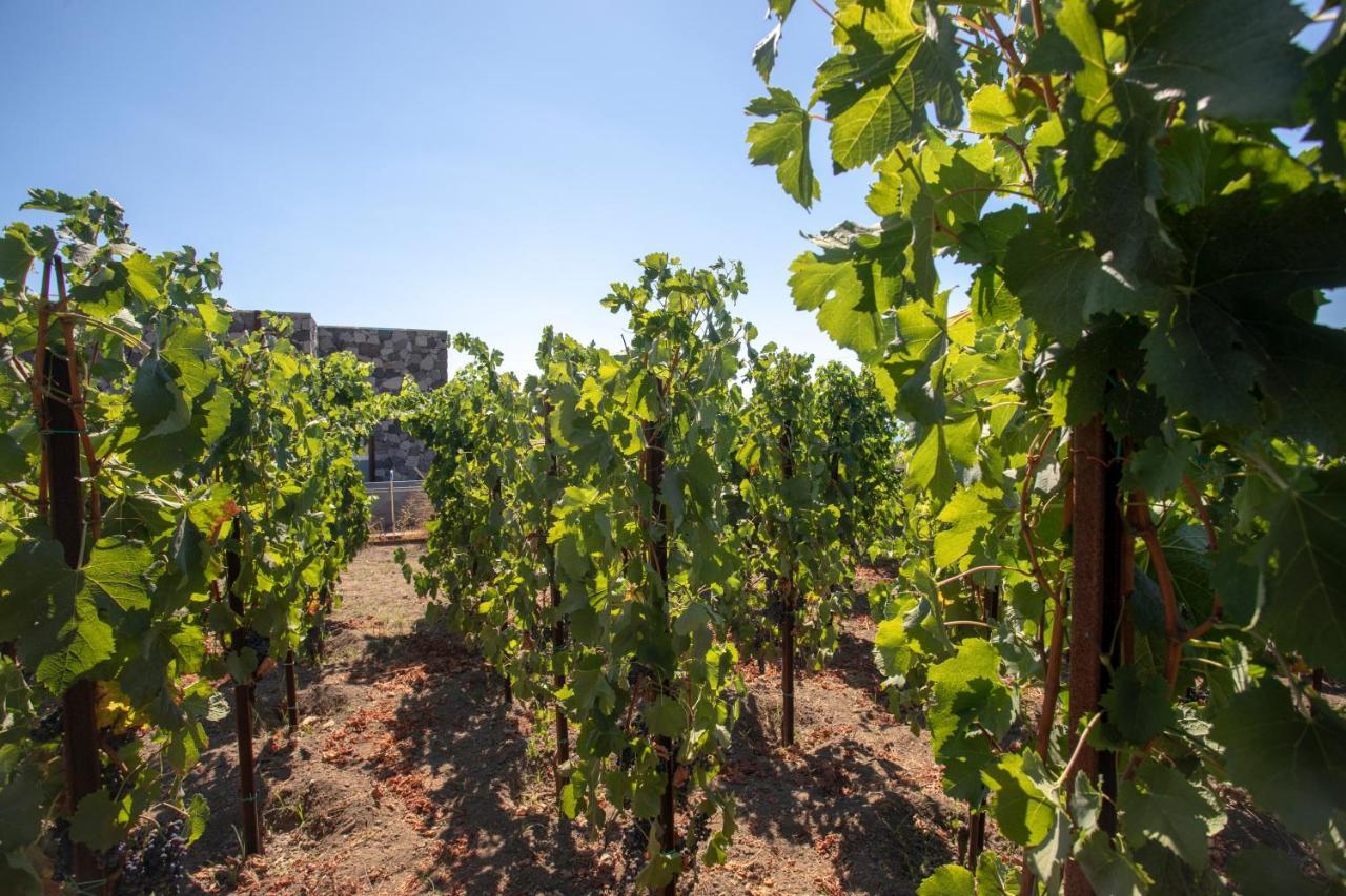 ליפארי Tenuta Di Castellaro Winery & Resort מראה חיצוני תמונה