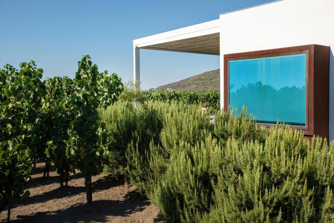 ליפארי Tenuta Di Castellaro Winery & Resort מראה חיצוני תמונה