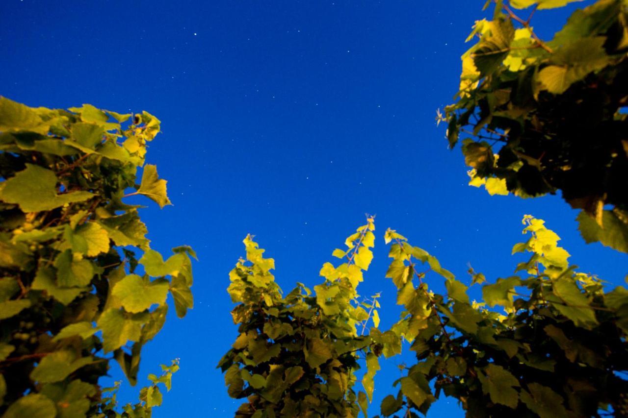 ליפארי Tenuta Di Castellaro Winery & Resort מראה חיצוני תמונה